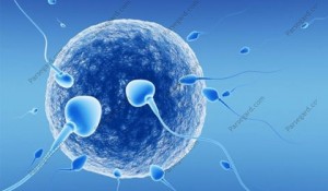 هومیوپاتی و ناباروری در مردان